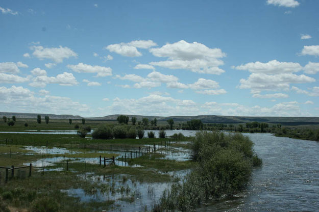 New Fork downstream overflow. Photo by Dawn Ballou, Pinedale Online.