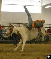 Little Buckaroo Rodeo. Photo by Dawn Ballou, Pinedale Online.