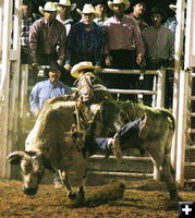 Rodeo. Photo by Clint Gilchrist, Pinedale Online.