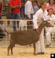 McKenna Carnahan. Photo by Clint Gilchrist, Pinedale Online.