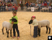 Pee Wee Showmanship. Photo by Clint Gilchrist, Pinedale Online.