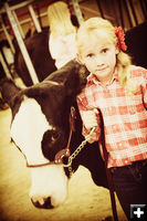 Sublette County Fair Steer Show. Photo by Sublette County Fair.