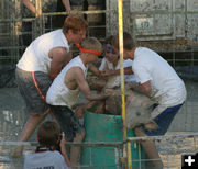 Bringing Home the Bacon. Photo by Dawn Ballou, Pinedale Online.