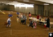 4-H Dog Show. Photo by Dawn Ballou, Pinedale Online.