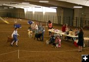 4-H Dog Show. Photo by Dawn Ballou, Pinedale Online.