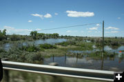 East Fork River -downstream. Photo by Dawn Ballou, Pinedale Online.