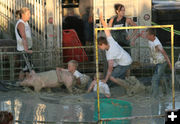 Mud Dogs. Photo by Dawn Ballou, Pinedale Online.