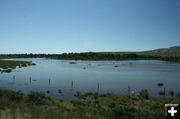 New Fork River - July 2nd. Photo by Dawn Ballou, Pinedale Online.