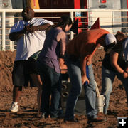 Tugging. Photo by Dawn Ballou, Pinedale Online.