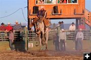 Cody Ebele. Photo by Carie Whitman.