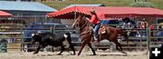 Womens Steer Stopping. Photo by Carie Whitman.