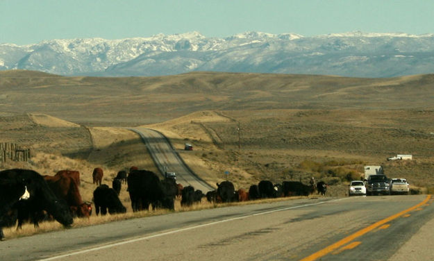 Hilly climb. Photo by Dawn Ballou, Pinedale Online.