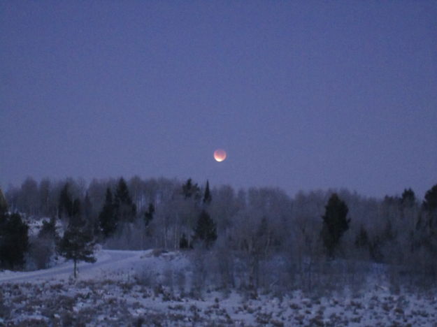 Full Moon. Photo by Bill Winney.