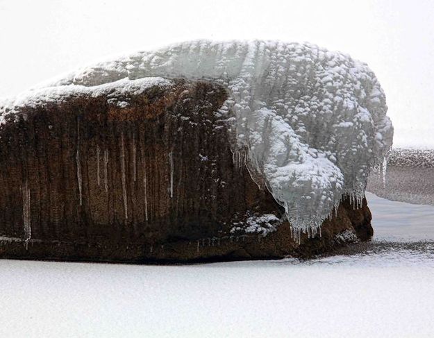 Ice Walrus. Photo by Dave Bell.