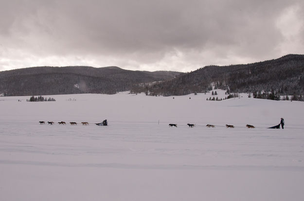 Two teams. Photo by Chris Havener.