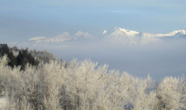 Frost and fog. Photo by Bill Winney.