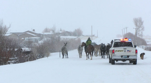 Down Pole Creek Road. Photo by Bob Rule, KPIN 101.1FM Radio.