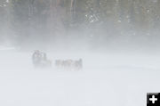 White out. Photo by Chris Havener.