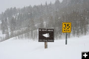 Bear Aware. Photo by Dawn Ballou, Pinedale Online.