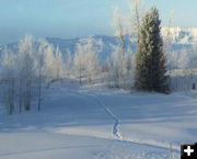 Snow trails. Photo by Bill Winney.