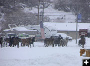 Wrong turn. Photo by Bob Rule, KPIN 101.1FM Radio.