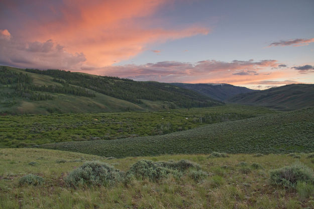 South Piney drainage. Photo by Mark Gocke, Wyoming Game & Fish.