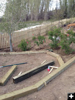 Landscaping logs. Photo by Ana Cuprill.