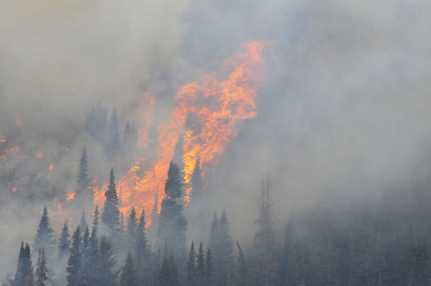 Tall flames. Photo by Tyler Foster.