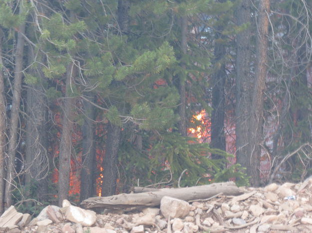 Burning next to the road. Photo by Ben Bannister.