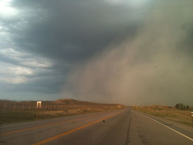 Crossing 191. Photo by Dawn Ballou, Pinedale Online.