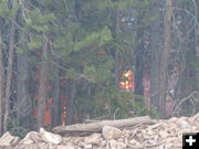 Burning next to the road. Photo by Ben Bannister.