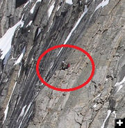 Closer view. Photo by Tony Chambers, Tip Top Search and Rescue.
