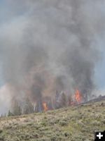 Torching trees on hillside. Photo by Brandon Hampton.