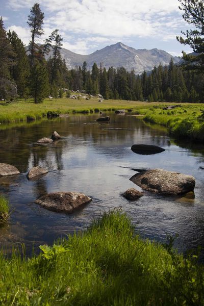 Big Sandy Creek. Photo by Dave Bell.