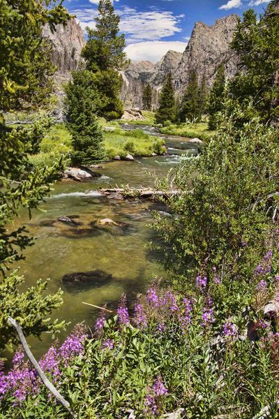 Clear Creek. Photo by Dave Bell.