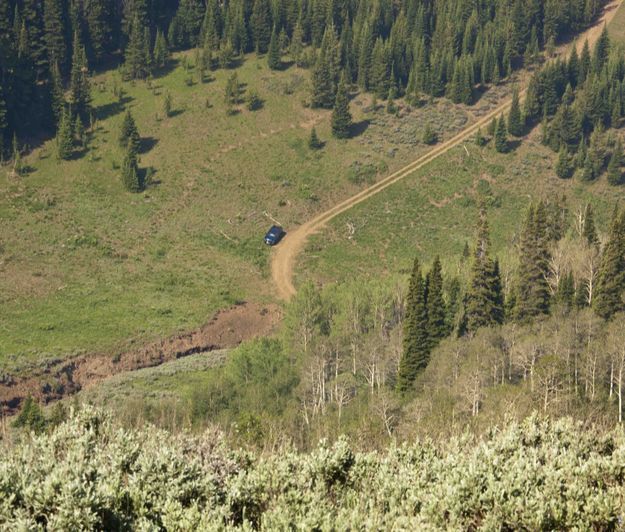 Steep trail. Photo by Dave Bell.