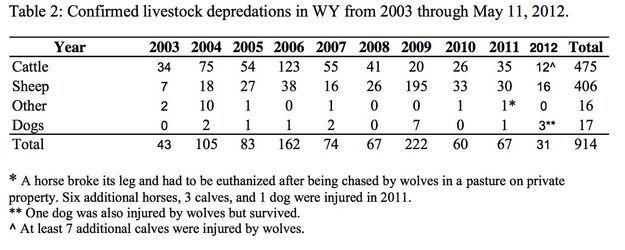 Livestock Depredations. Photo by US Fish & Wildlife Service.