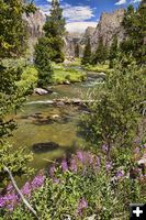 Clear Creek. Photo by Dave Bell.