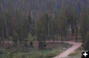 Campground work. Photo by Jason Curry, Great Basin IMT Team 5 Information Officer.