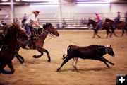 Over the horns. Photo by Tara Bolgiano, Blushing Crow Photography .