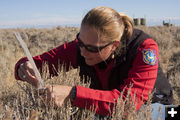 Jill Randall. Photo by Wyoming Game & Fish.