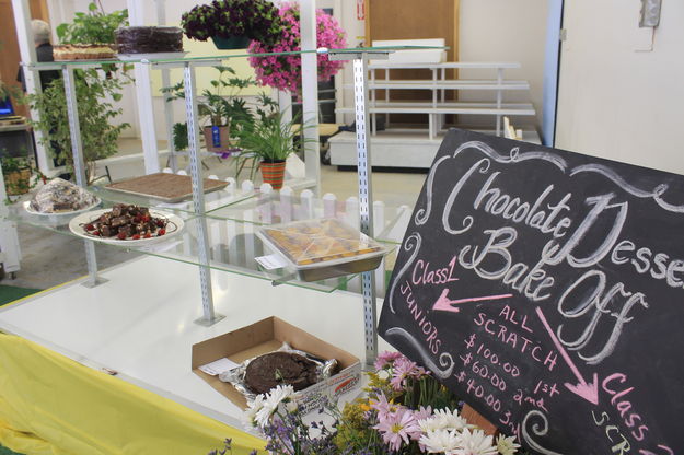 Chocolate Dessert Bake-off. Photo by Dawn Ballou, Pinedale Online.