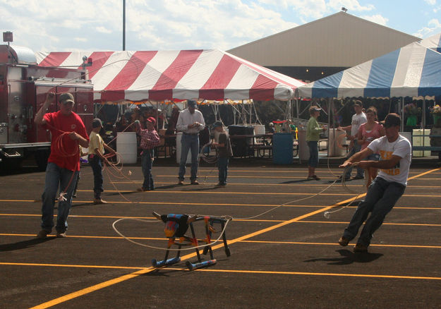 Roping. Photo by Dawn Ballou, Pinedale Online.