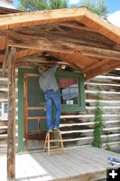 Hiding bats. Photo by Dawn Ballou, Pinedale Online.