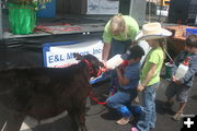 Bottle feeding a calf. Photo by Dawn Ballou, Pinedale Online.