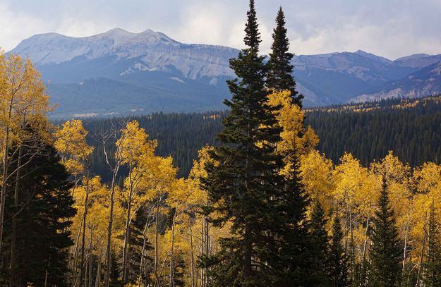 Triple Peak. Photo by Dave Bell.