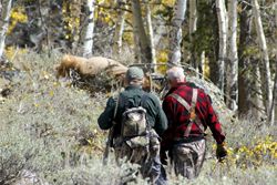 A hunting we will go. Photo by Megan Neher, Pinedale Roundup.