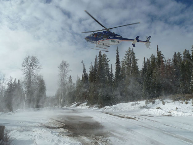 Search helicopter. Photo by Tip Top Search and Rescue.