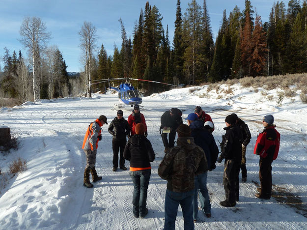 Search team. Photo by Tip Top Search and Rescue.