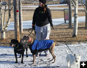 Dogs came along too. Photo by Wyatt Sheppard.